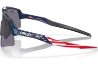 Sluneční brýle Oakley Sutro Lite Sweep Troy Lee Designs Series