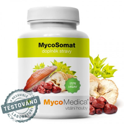 MycoSomat MycoMedica 90 tablet