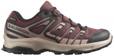 Salomon Extegra GTX W Henna/RumRa/Mahogr dámské trekové boty 5